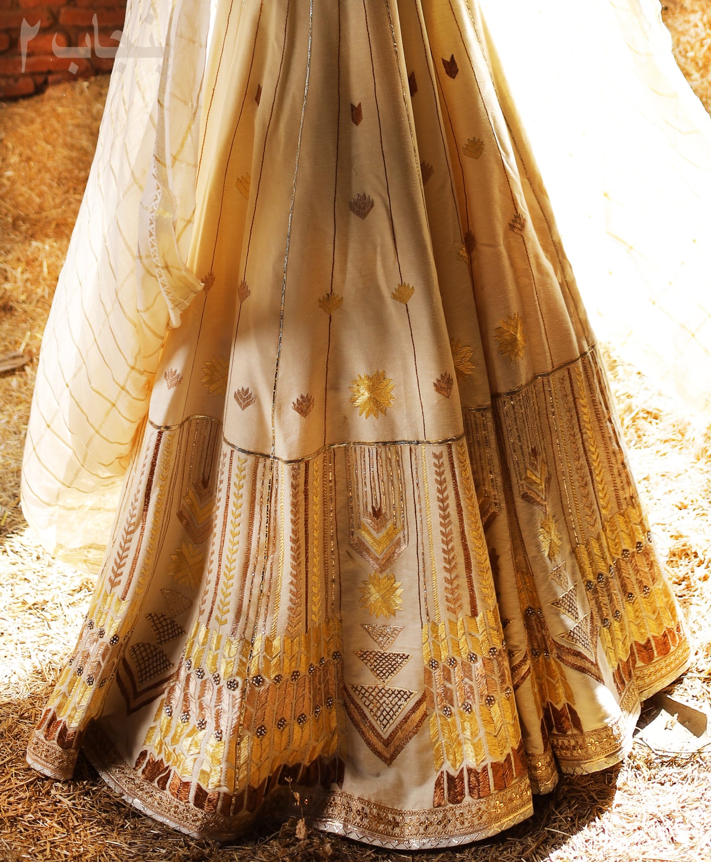 2 Punjab - Phulkari lehenga