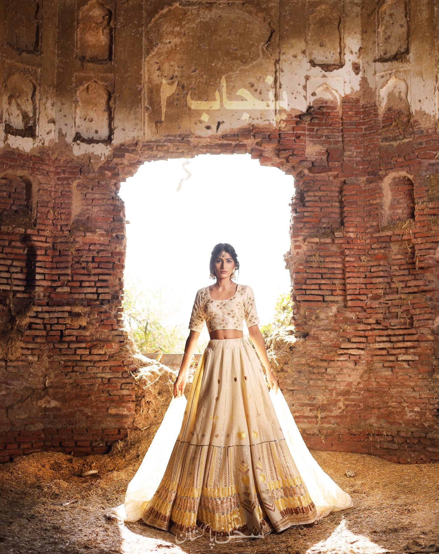 2 Punjab - Phulkari lehenga