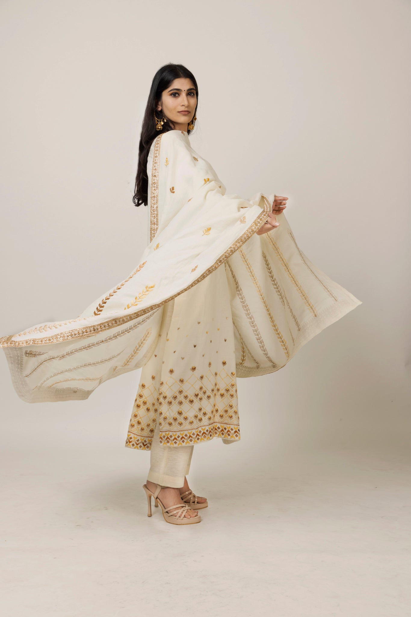 2 Punjab  - Long kurta set